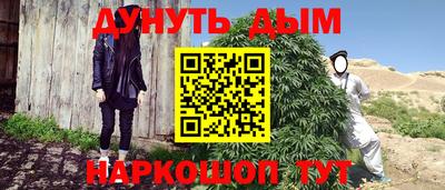 крисы Кунгур