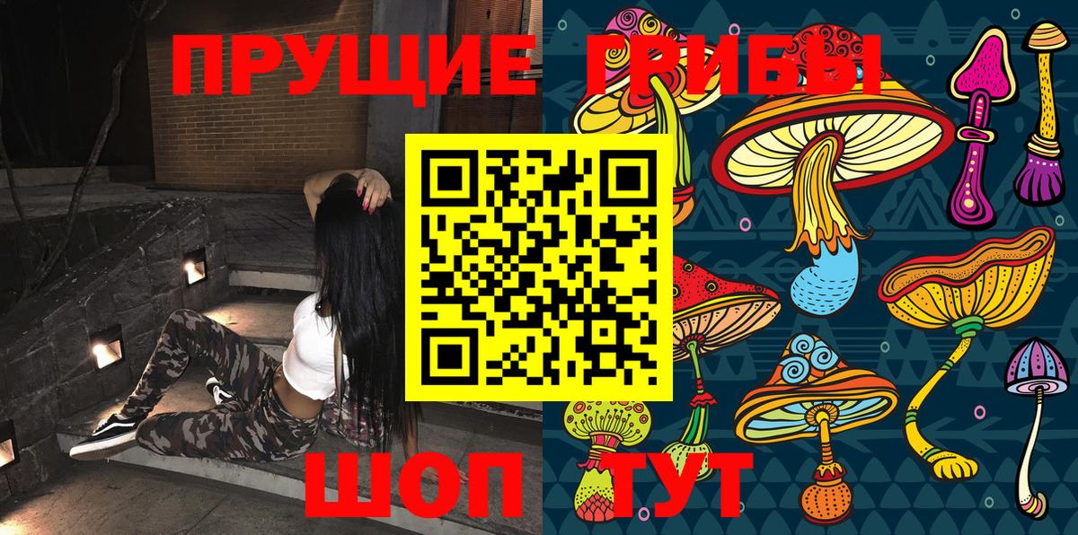 Галлюциногенные грибы Psilocybine cubensis Клин